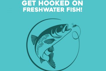 Get hooked on freshwater fish