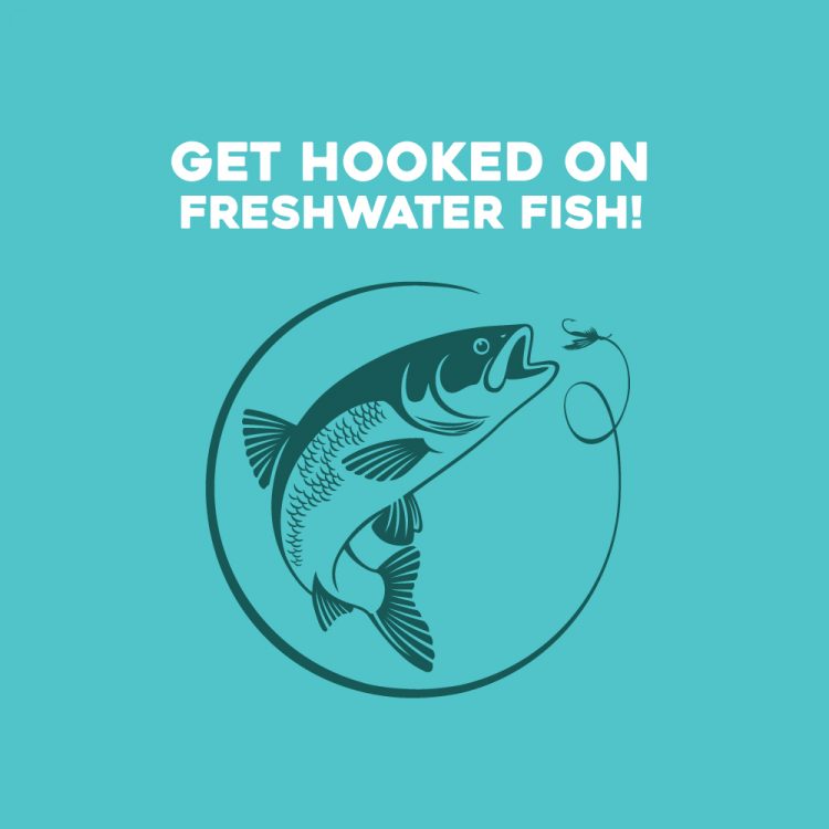 Get hooked on freshwater fish