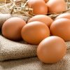 Fresh eggs online