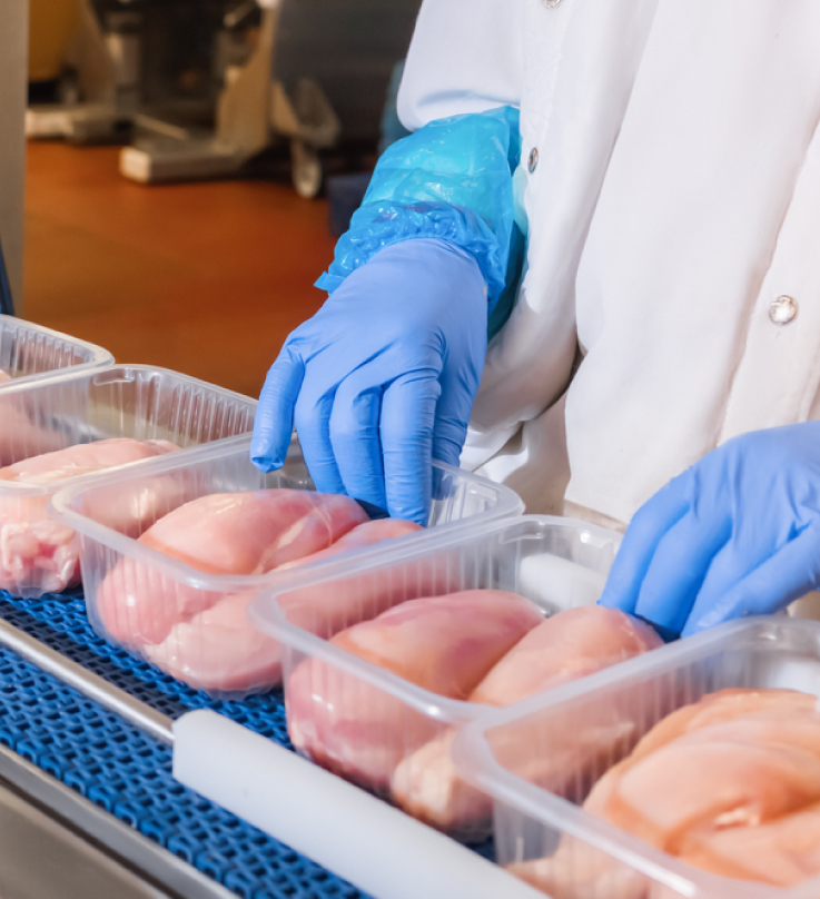 Licious 6th birthday - a pair of blue gloved hands sorting chicken breasts into plastic boxes in a line.