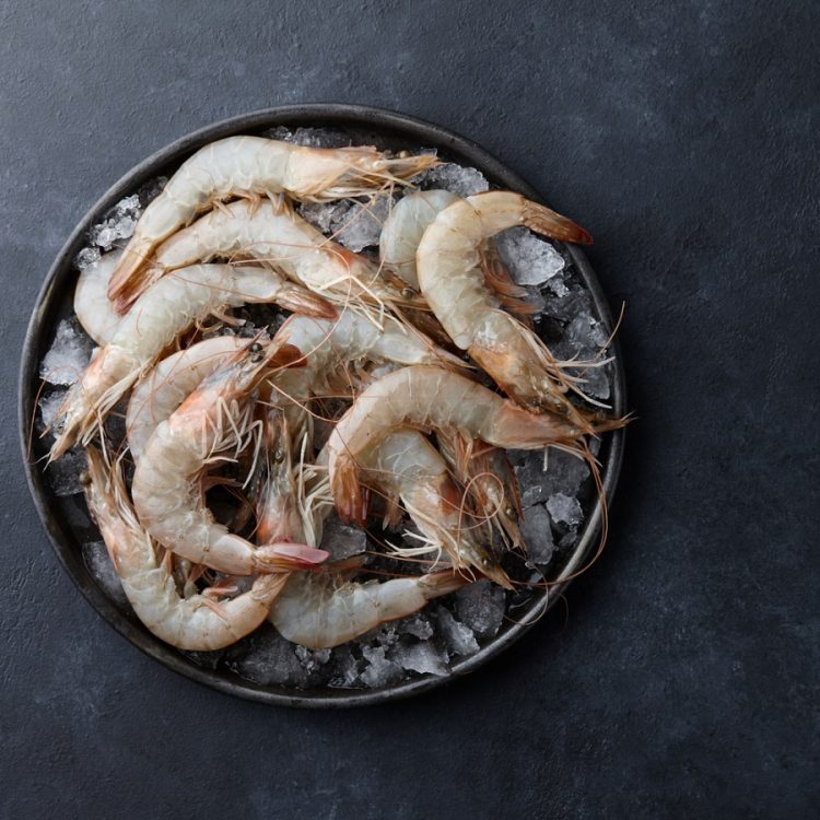 Are You a Prawn Newbie? We've Answered All Your Questions Here!