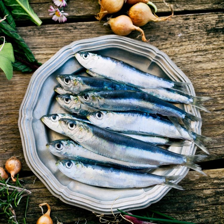 Sardine Fish, Benefits of Sardine, Seafood Fish