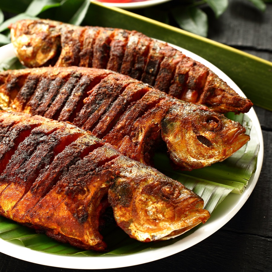 Bangda Fish 